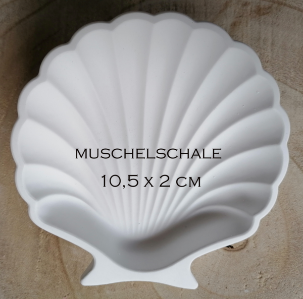 Muschel Schale "weiß" Dekoteller  Dekoschale  Schmuckablage